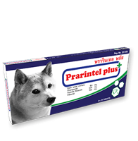 Tablet Anthelminthic PRARINTEL PLUS