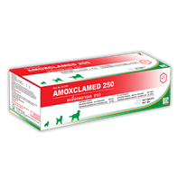 Tablet Antibiotics AMOXCLAMED 250