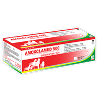 Tablet Antibiotics AMOXCLAMED 500
