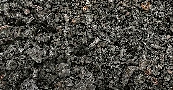 Biochar