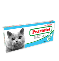 Tablet Anthelminthic PRARINTEL