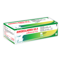 Tablet Antibiotics AMOXCLAMED 62.5